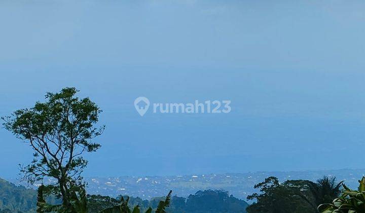 Tanah kebun pull view di munduk buleleng 4