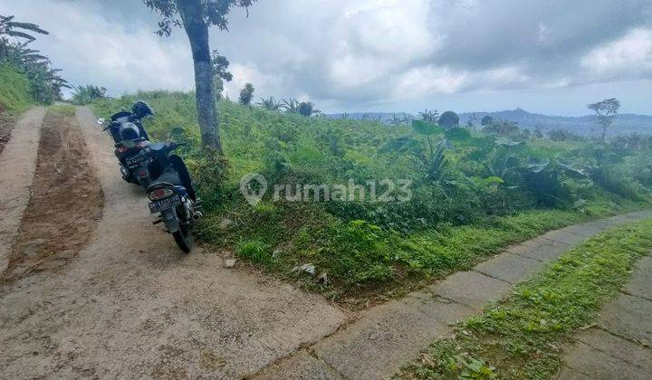 Tanah kebun pull view di munduk buleleng 3