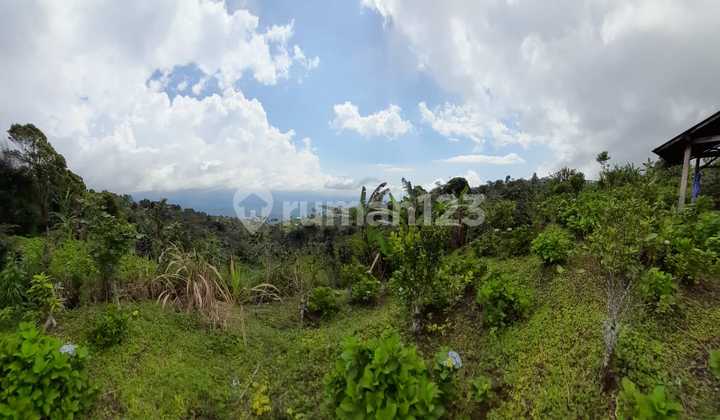 Tanah kebun pinggir jln utama asah gobleg 7