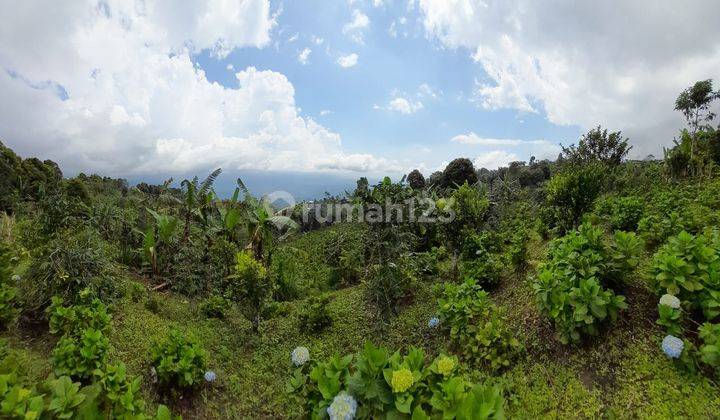 Tanah kebun pinggir jln utama asah gobleg 6