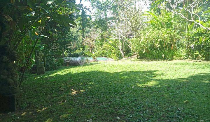 Villa los sungai petanu radius 10 menit ke ubud 14