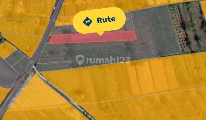 Tanah kebun pinggir jln utama dekat rumah bupati badung 2