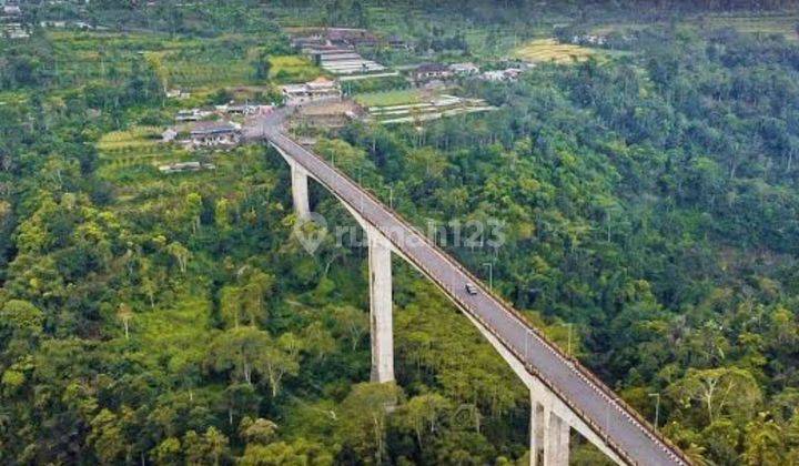 Tanah kebun pinggir jln utama dekat rumah bupati badung 6