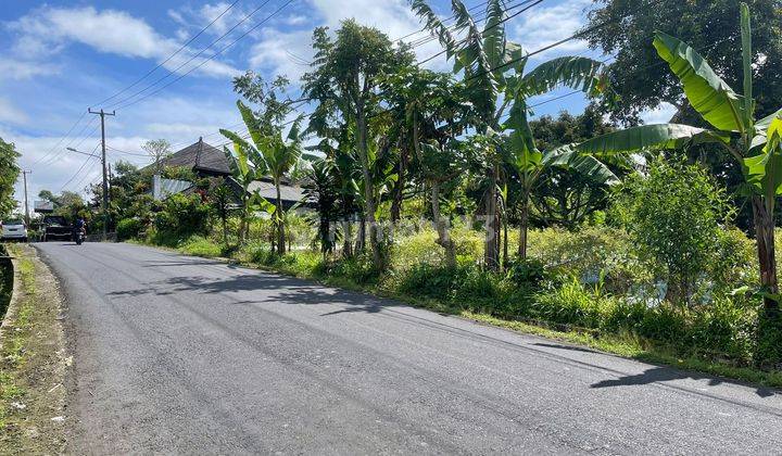 Tanah kebun pinggir jln utama dekat rumah bupati badung 7