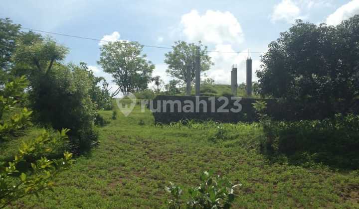 Tabah siap bangun di kubutambahan  buleleng 4