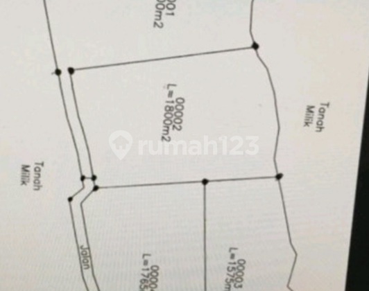 Tabah siap bangun di kubutambahan  buleleng 3