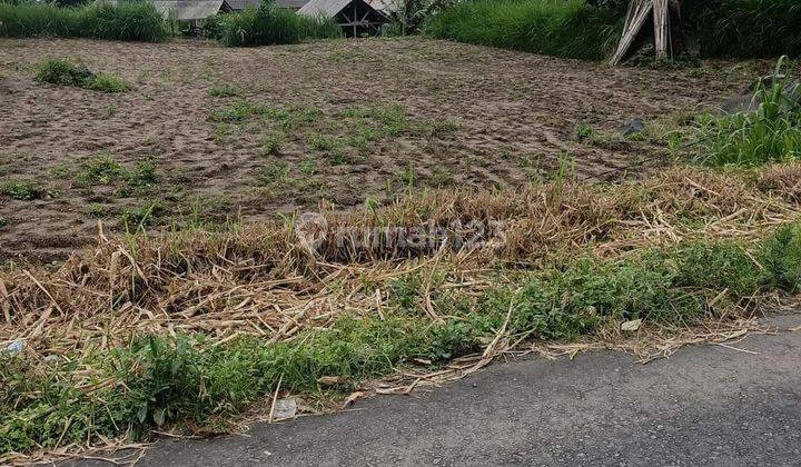 Garden land with mountain views and Lake Batur near the floating restaurant 2