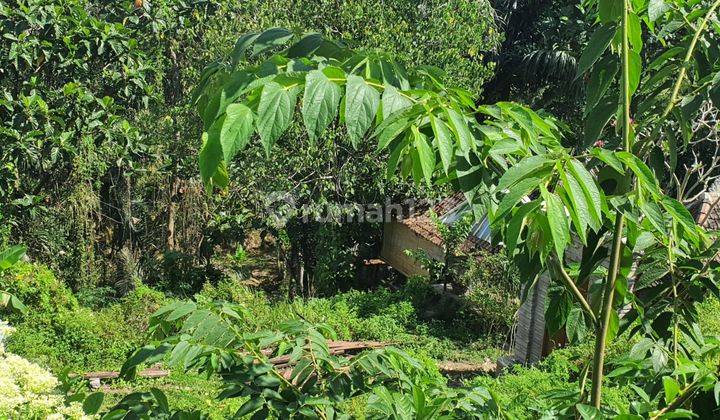 Tanah view sungai dan sawah di badung 2