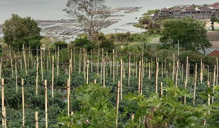 Tanah siap bangun dengan view gunung dan danau batur 1