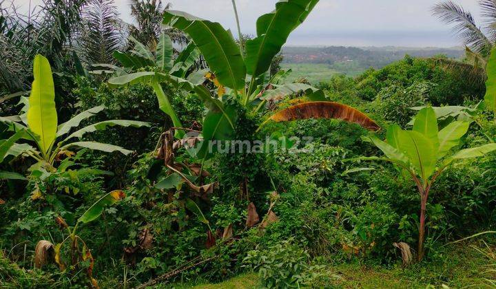 Sea View Land In Tengenan Tourism Village 1