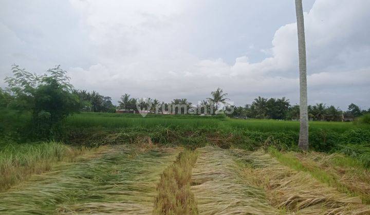 Tanah Siap Bangun Zona Permukiman Link Villa Ubud 1