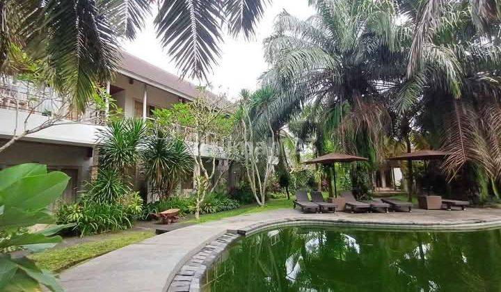 Hotel View Sawah Di Ubud 2