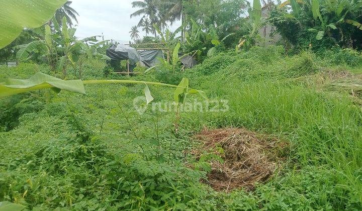 Tanah Siap Bangun Zona Permukiman Link Villa Ubud 2