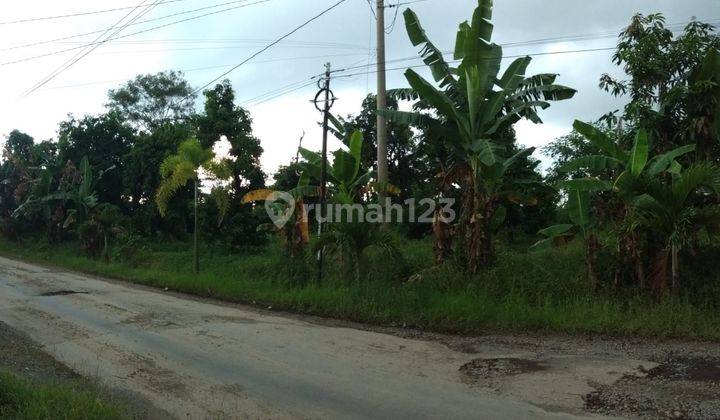 Tanah di Nalumsari, Kabupaten Kudus 2.927 m² 1