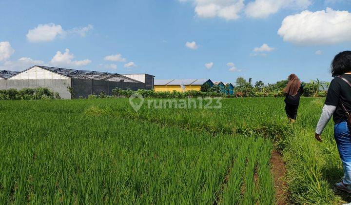 Tanah di Babakan, Sukabumi 3.240 m² 1