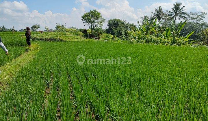 Tanah di Babakan, Sukabumi 3.240 m² 2