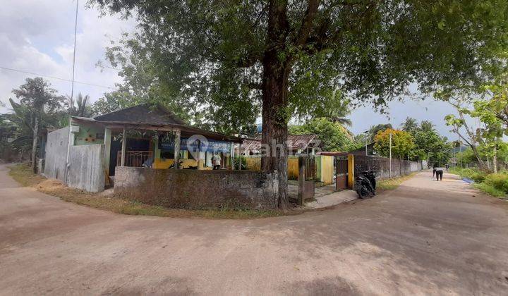 Tanah di Dusun Jati - Sariharjo, Bantul 1.146 m² 4