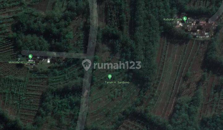 Tanah di Paliyan, Gunung Kidul 4.768 M². 2