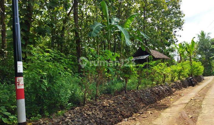 Tanah / Kebun Jati Seluas 2.2261 Meter Persegi Di Panggang Gunung Kidul 2