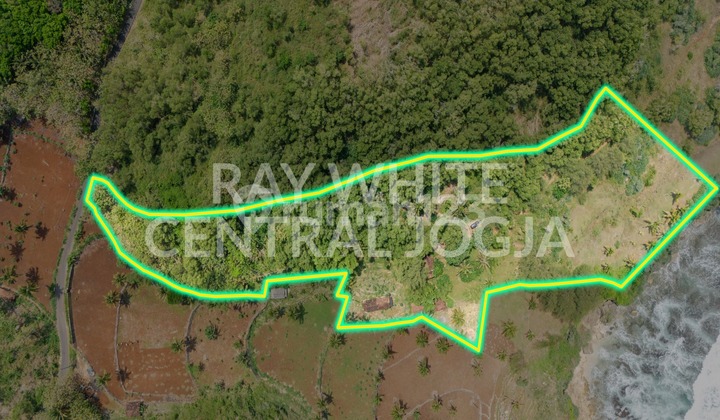 Dijual Tanah Luas 32.420 Meter Persegi Lokasi di Ngrenehan, Saptosari, Gunung kidul Dijual Tanah Luas 32.420 Meter Persegi Lokasi di Ngrenehan, Saptosari, Gunung kidul