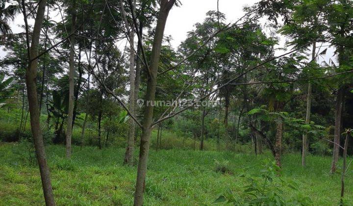 Tanah Kebun Siap Bangun 2