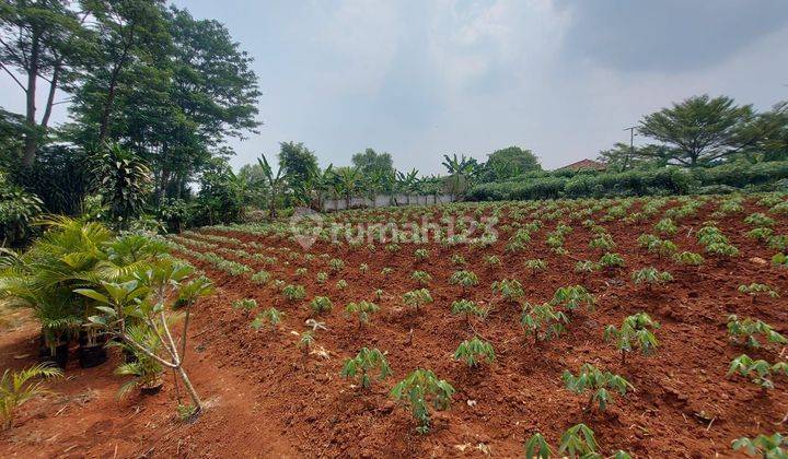 Tanah Siap Bangun Di Jual Cepat Dekat Ke Bsd 1