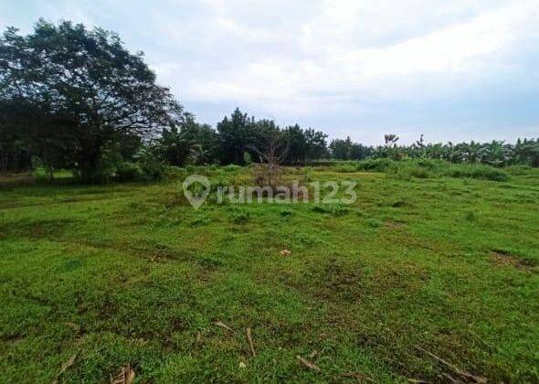 Tanah Lahan Luas dekat Jalan Raya kabupaten Bojonegoro Jawa Timur 1