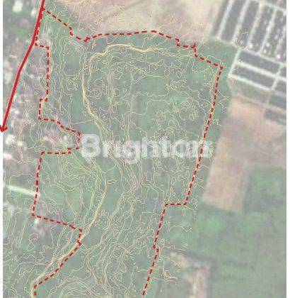 Lahan Luas 15Ha Cocok untuk perumahan dan Gudang di Serang Banten 2