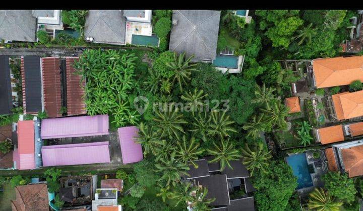 Tanah Langka Di Bisma Ubud di Jl. Bisma, Ubud, Kecamatan Ubud, Kabupaten Gianyar, Bali, Ubud 2