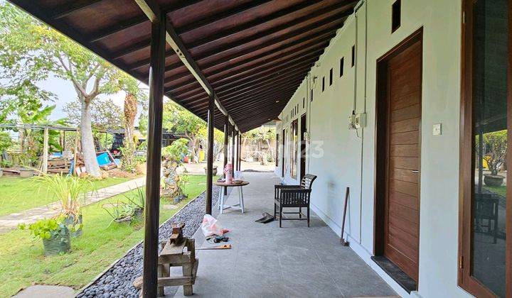 New Guest House In Sanur 1