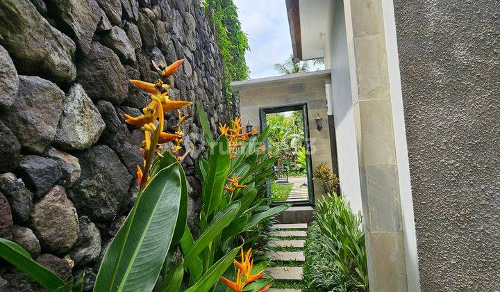 New Villa For Leased 2