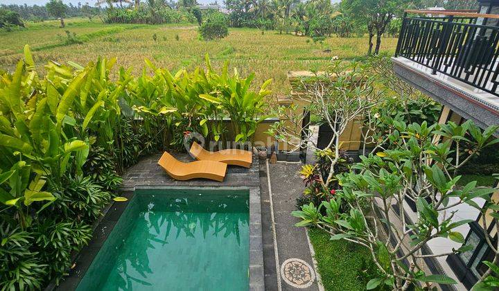 Beautifull Villa For Rent 1