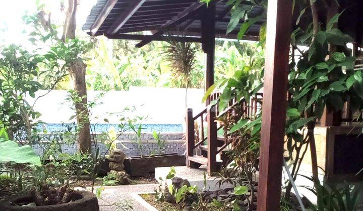 Joglo House For Rent 2