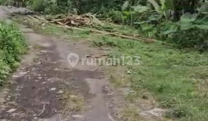 Tanah Langka Di Ubud Tanah Langka Di Ubud