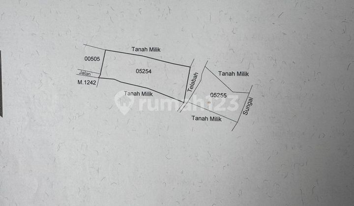 Dry Land for Rent Dry Land for Rent