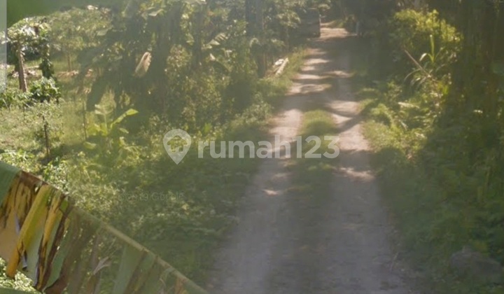 Leased Hold Tanah View Pantai