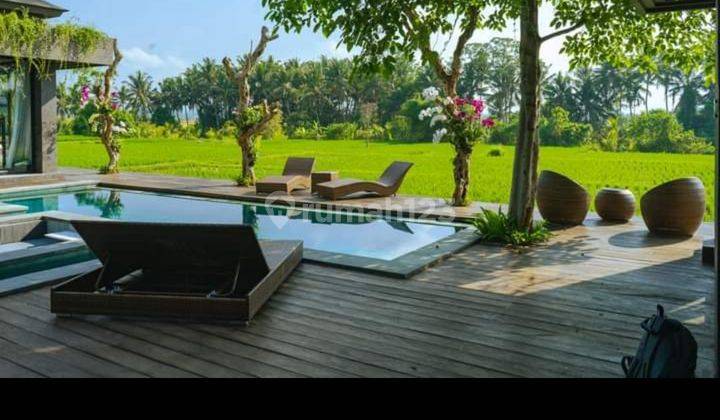 Rice Fields Luxury Villa  2