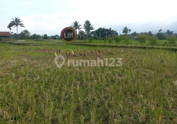 Dijual Tanah Sawah Di Cisayong - Tasikmalaya