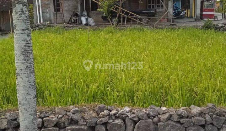 Tanah Persegi Strategis di Jalan Raya Provinsi 2