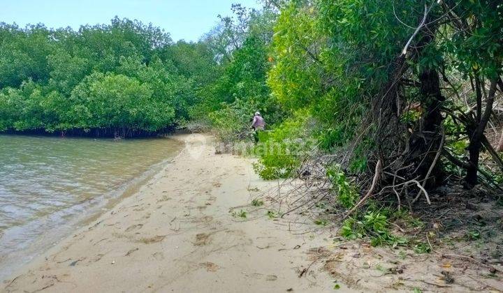 Dijual Tanah Shm 1,4 Ha View Sunrise Di Tanjung Boebatu Labuan Bajo 2