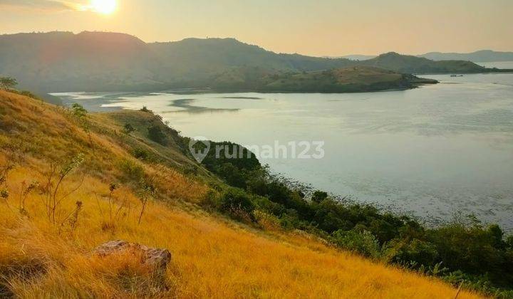 Dijual Tanah Shm 1,4 Ha View Sunrise Di Tanjung Boebatu Labuan Bajo 1