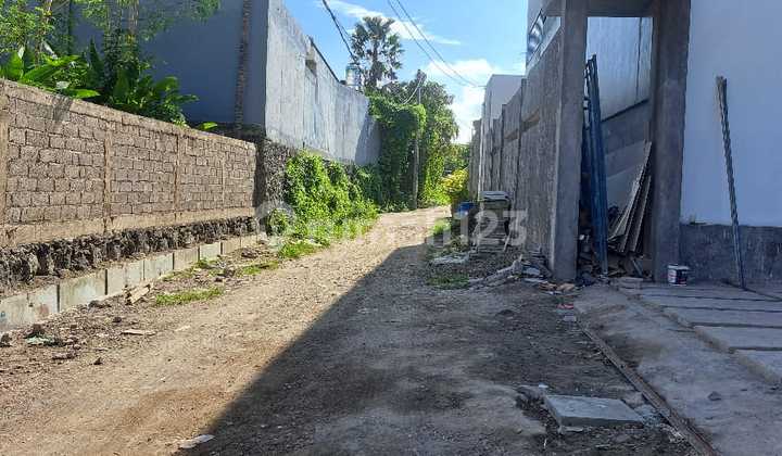Jual Kavling 5 Are Di Pererenan Canggu Bali