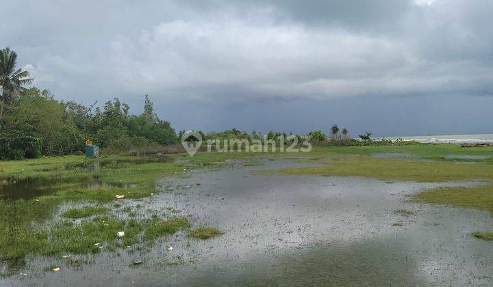 Land For Sale Commercial Area 41,666 m2 Beach Walk Distance Main Road Jalan Raya Panimbang Tanjung Lesung Banten Jawa Barat 2