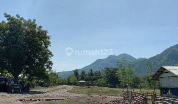 Beachfront Land For Sale 5,3 Hectares in Pantai Golomori  Labuan Bajo 1