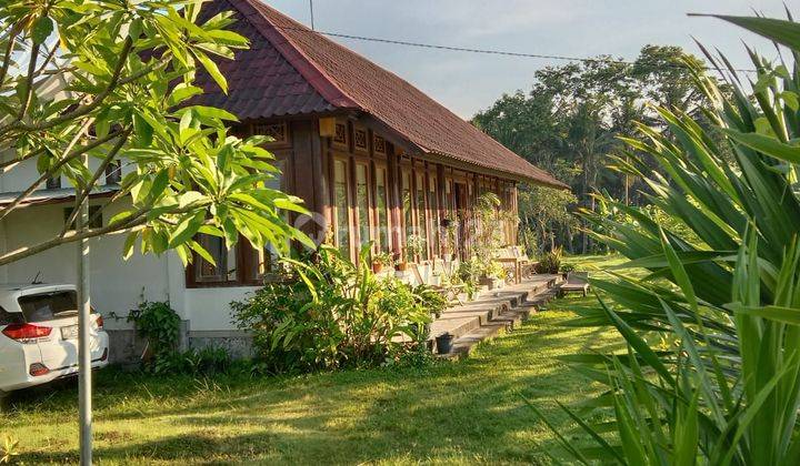 Dijual Bungalow Luas 15 Are View Gunung dan Sawah di Jl Raya Perasi Pertima Karangasem Bali 1