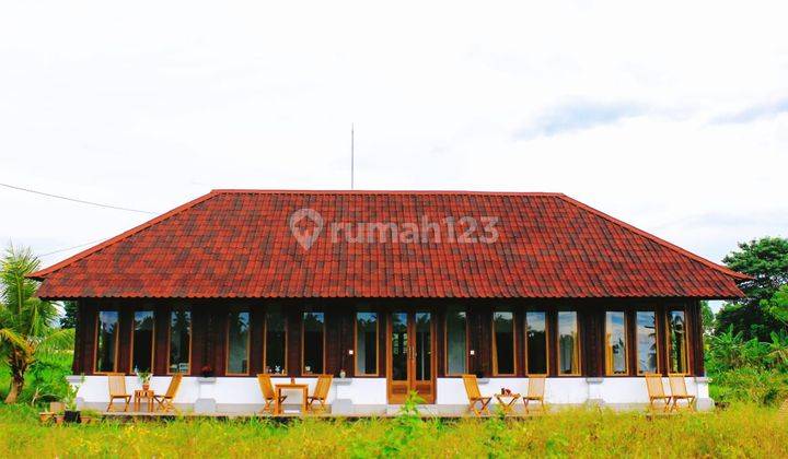 Dijual Bungalow Luas 15 Are View Gunung dan Sawah di Jl Raya Perasi Pertima Karangasem Bali 2