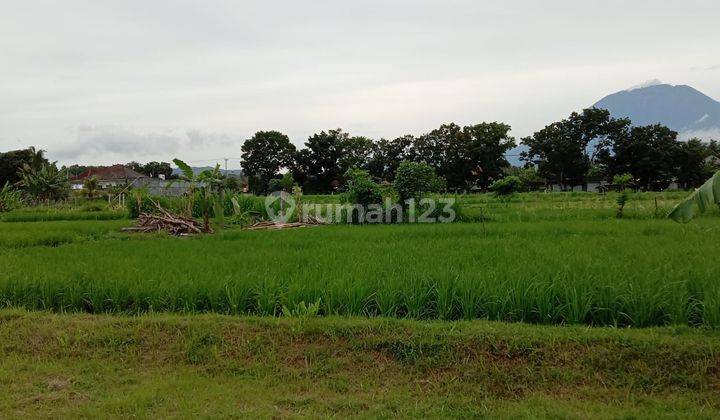 Dijual Bungalow Luas 15 Are View Gunung dan Sawah di Jl Raya Perasi Pertima Karangasem Bali 2