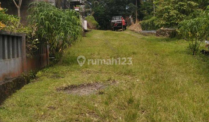 Dijual Tanah Murah 1,65 Are Dekat Bali Butterfly Park Tabanan & Tol Gilimanuk Mengwi 1