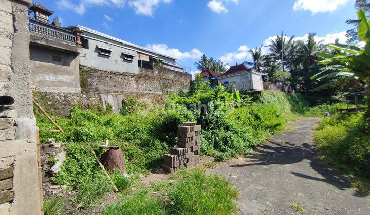 For sale vacant land ready to build LT 240m2 Jl Cambodia Werdibhuwana Mengwi Badung Bali 2