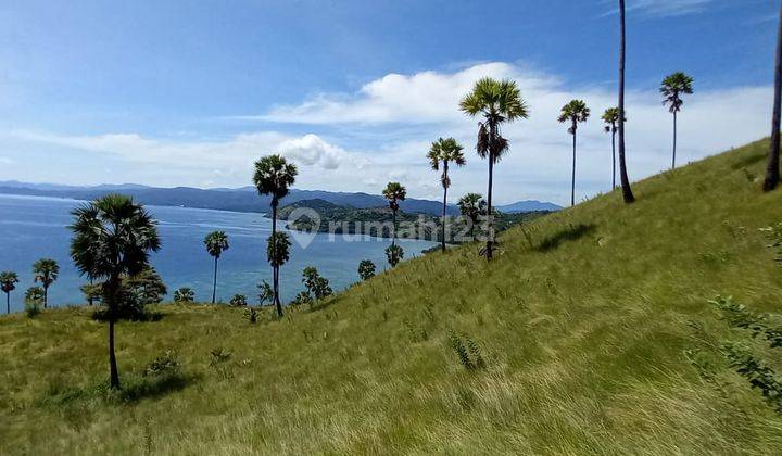 Dijual Tanah Shm 1,9 Ha View Sunrise Dan Teluk Waecicu Labuan Bajo 2